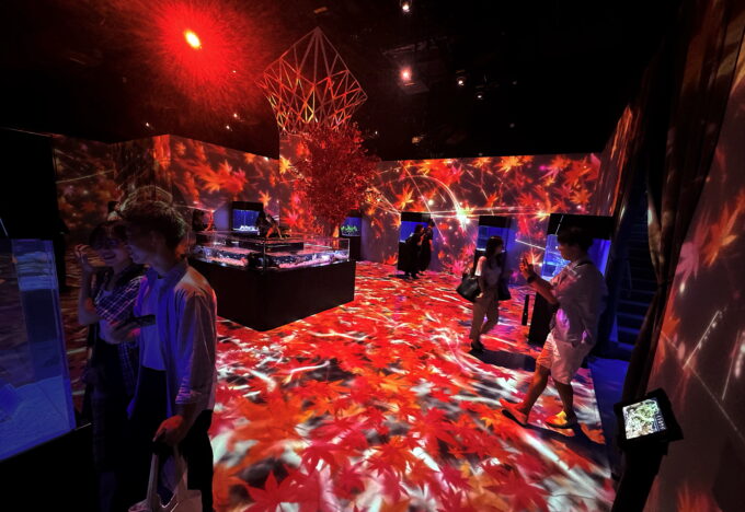 マクセル アクアパーク品川「NAKED MOMIJI AQUARIUM」の紅葉に染まった展示ルーム
