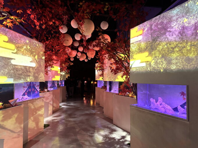 マクセル アクアパーク品川「NAKED MOMIJI AQUARIUM」のデコレーション
