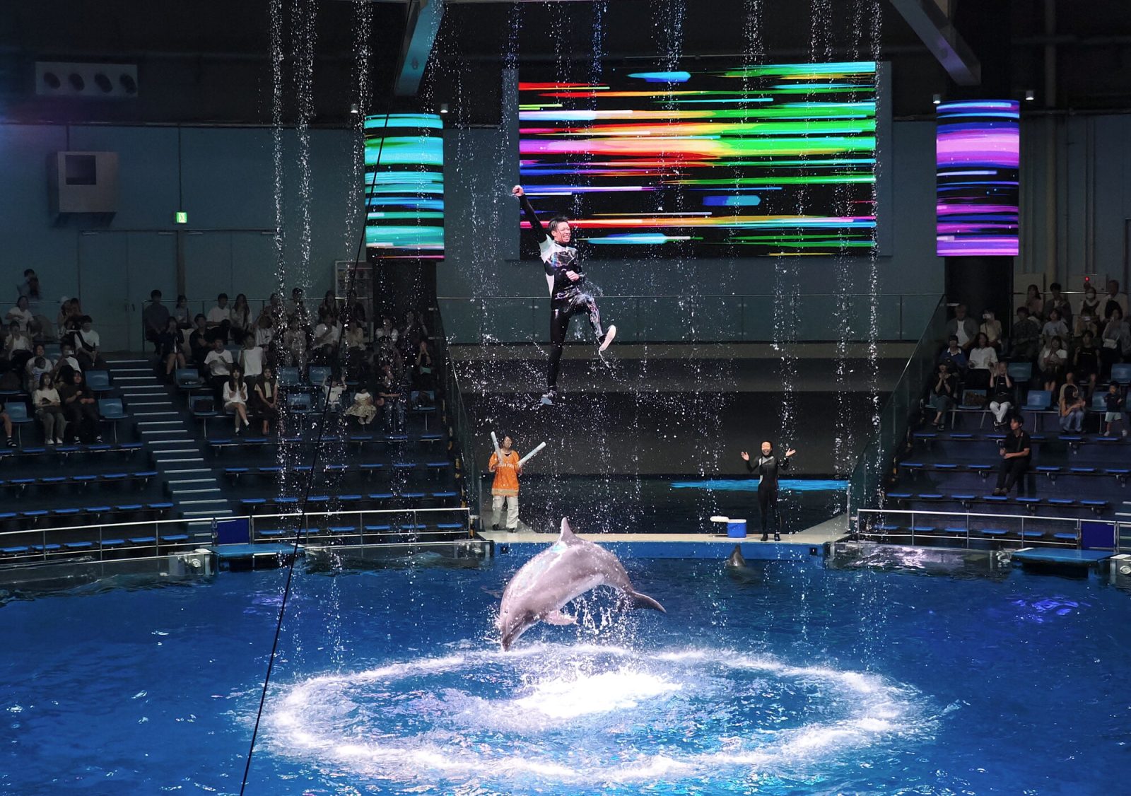 マクセル アクアパーク品川「NAKED MOMIJI AQUARIUM」のイルカショー