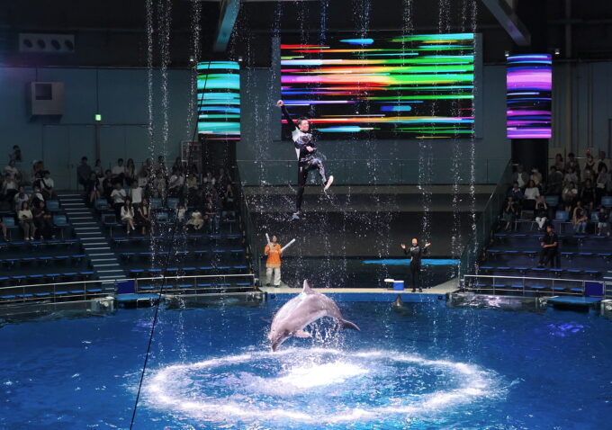 マクセル アクアパーク品川「NAKED MOMIJI AQUARIUM」のイルカショー