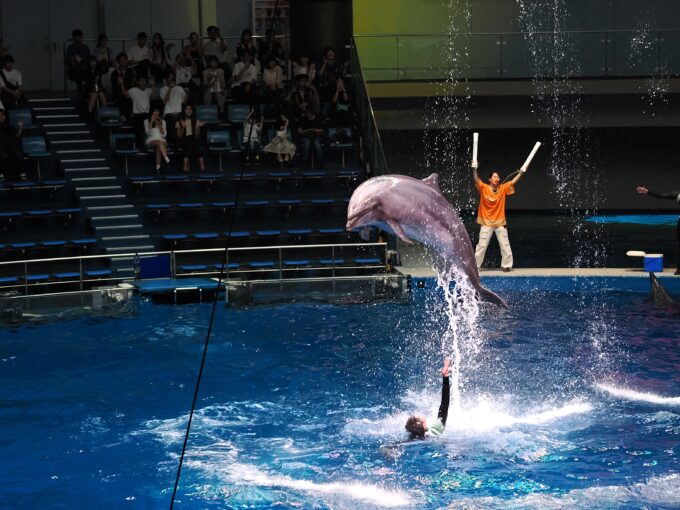 マクセル アクアパーク品川「NAKED MOMIJI AQUARIUM」のイルカショー