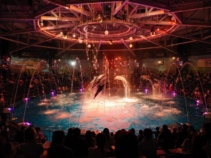 マクセル アクアパーク品川「NAKED MOMIJI AQUARIUM」のイルカショー