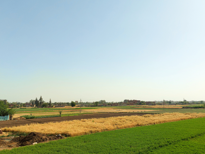 ナイル川のデルタ地帯
