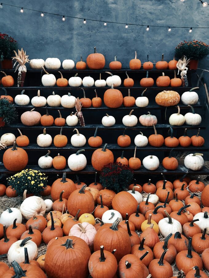 ハロウィンのデコレーションに並べられたたくさんのかぼちゃ