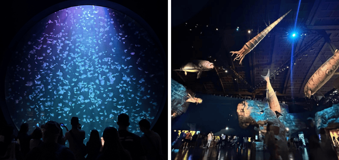 Singapore Oceanarium