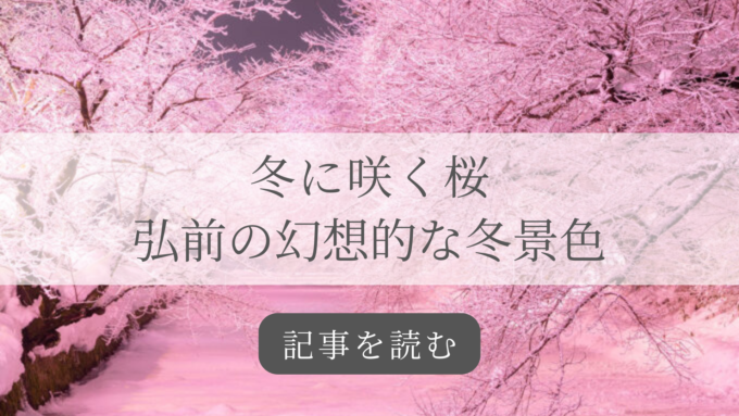 弘前冬に咲くさくらライトアップ記事バナー