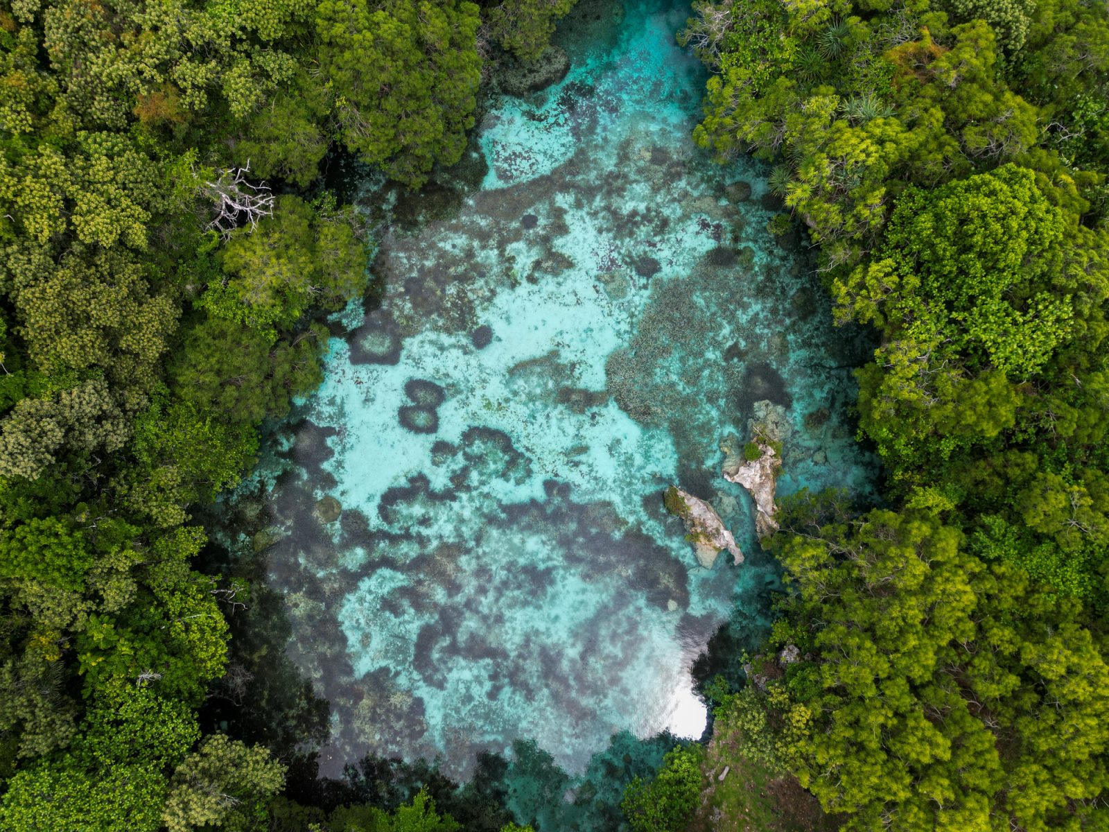 マレ島の「ボーヌの洞穴」