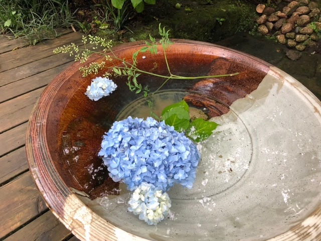手水鉢の紫陽花