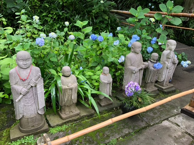 紫陽花の隣に並ぶ石造りのお地蔵たち