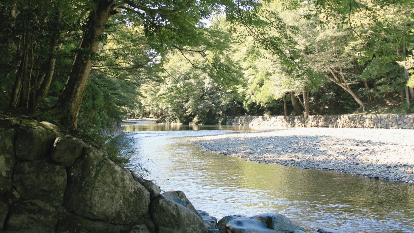 緑に囲まれた五十鈴川の清流 