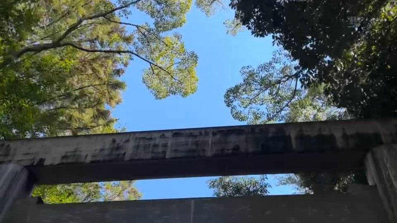 鳥居を見上げた境内の空