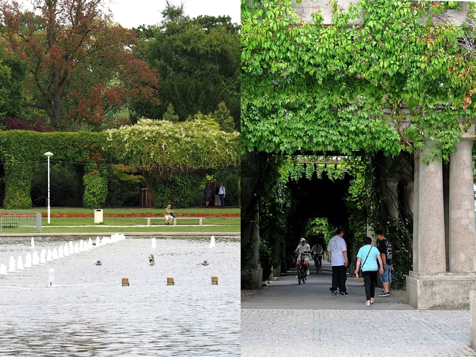 百年記念館周辺の噴水池と公園・緑の蔓に覆われたパーゴラ回廊